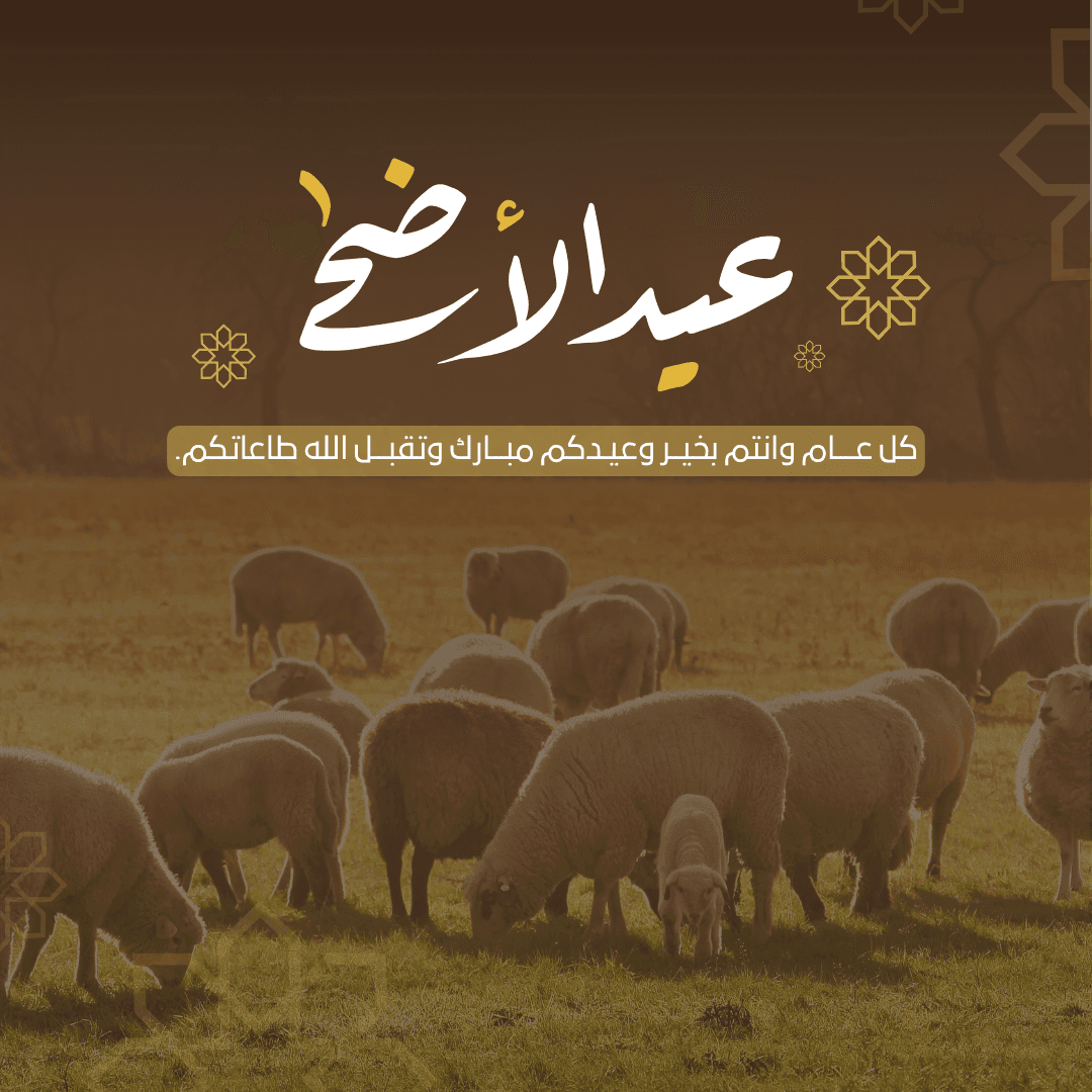بطاقات تهنئة